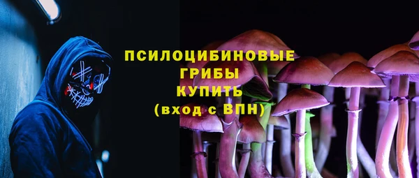 шишки Алзамай