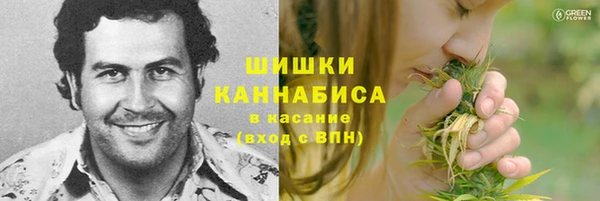 прущий лед Абаза