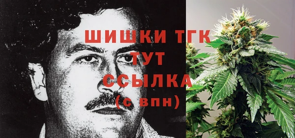 сатива Переславль-Залесский