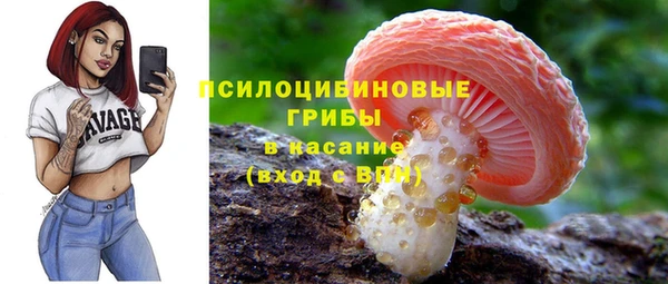 хмурый Алексин