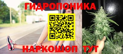 COCAINE Можга