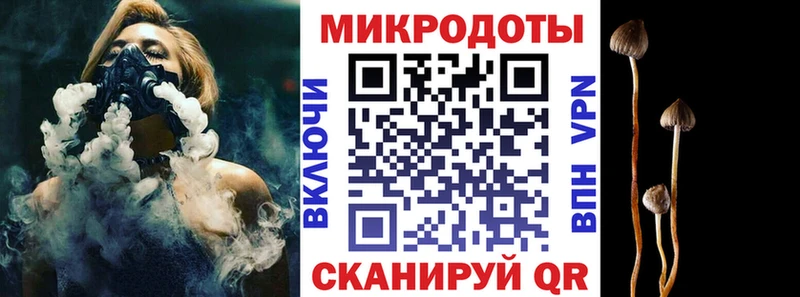 закладка  Ишимбай  Псилоцибиновые грибы Magic Shrooms 
