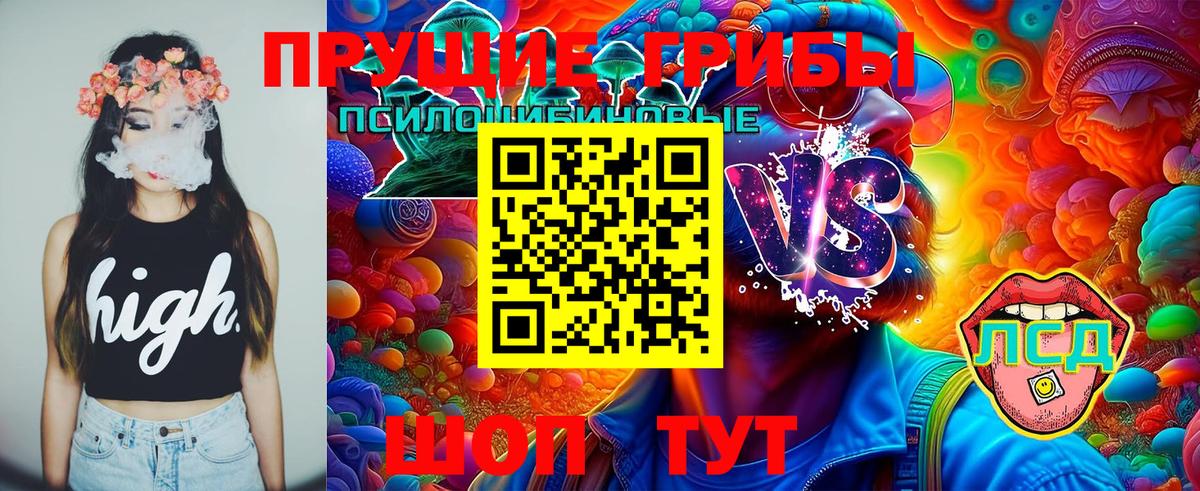 Псилоцибиновые грибы MAGIC MUSHROOMS Ишимбай